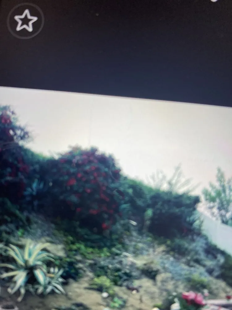 Affordable garden landscaping for year-round maintenance across Temecula, CA - J & M Tree Service