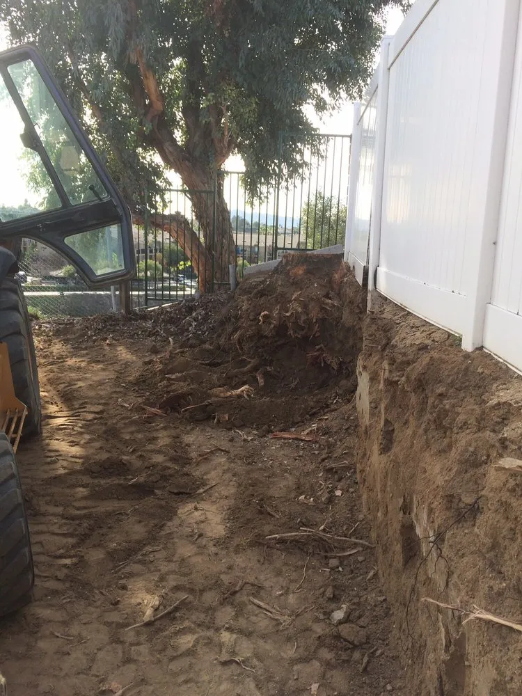 Affordable yard cleanup service in Temecula, CA by J & M Tree Service