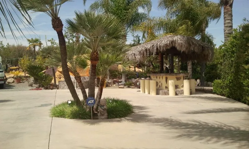 Trusted yard maintenance experts serving Temecula, CA - J & M Tree Service