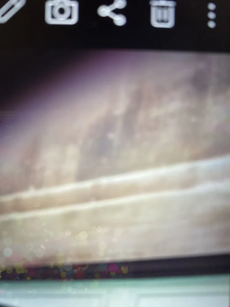 Custom lawn mowing service with custom design across Temecula, CA - J & M Tree Service