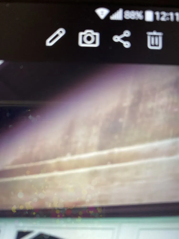 Local yard maintenance experts serving Temecula, CA - J & M Tree Service