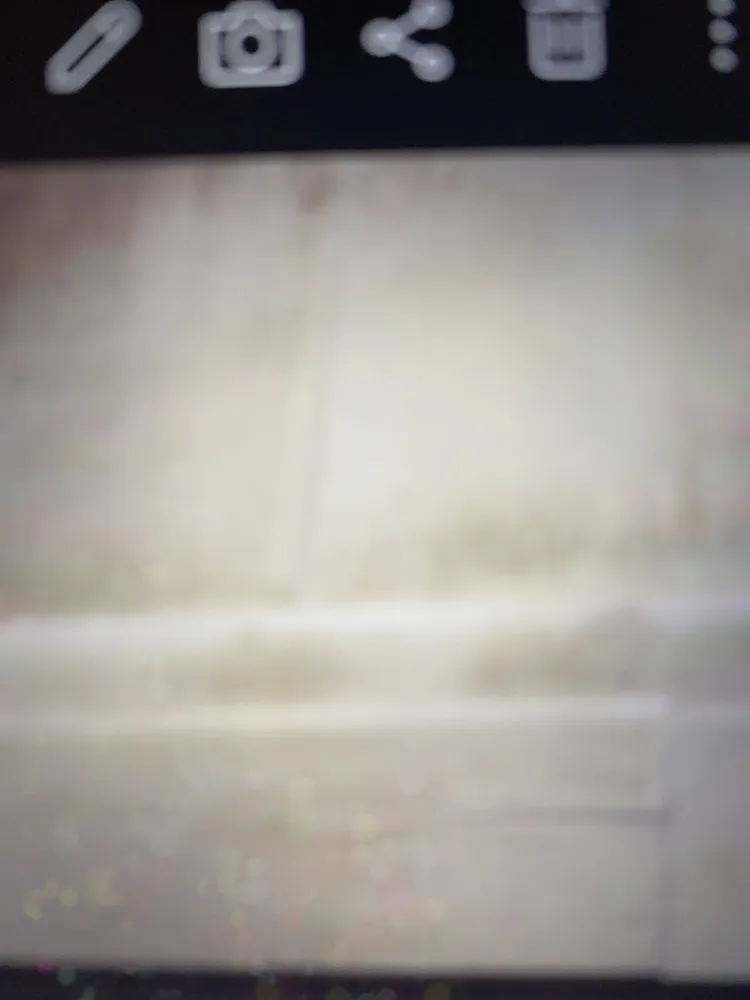 Local residential landscaping experts serving Temecula, CA - J & M Tree Service