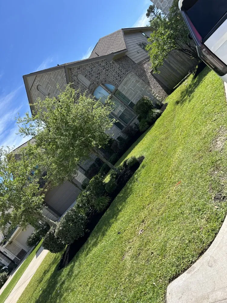 Professional yard cleanup service for outdoor upgrades in Conroe, TX by J & N Landscaping and Remodeling Services