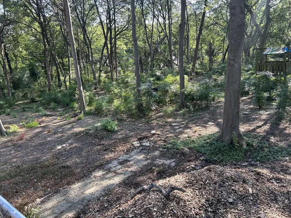 Local landscape design in Waco, TX by J & N Landscaping