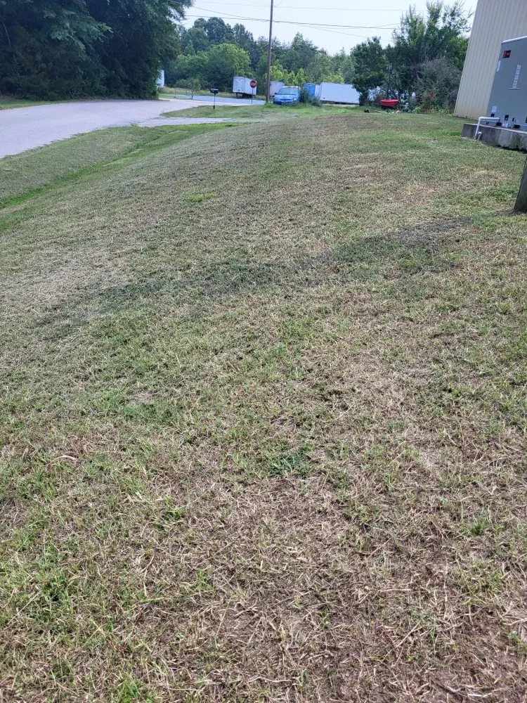 Reliable yard maintenance for homes in York, SC by J & N landscaping