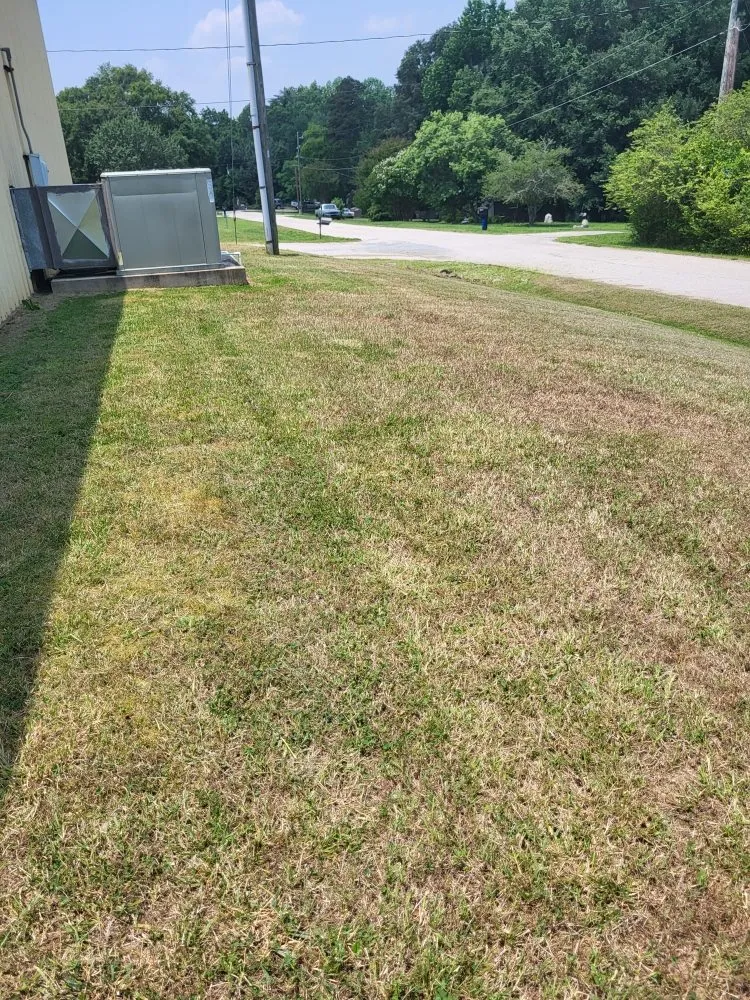 Professional outdoor landscaping in York, SC - J & N landscaping