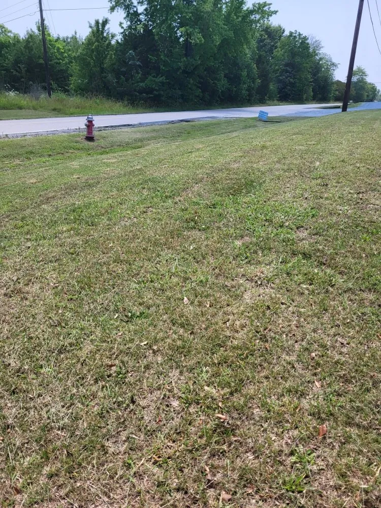 Reliable yard cleanup service for beautiful yards in York, SC by J & N landscaping