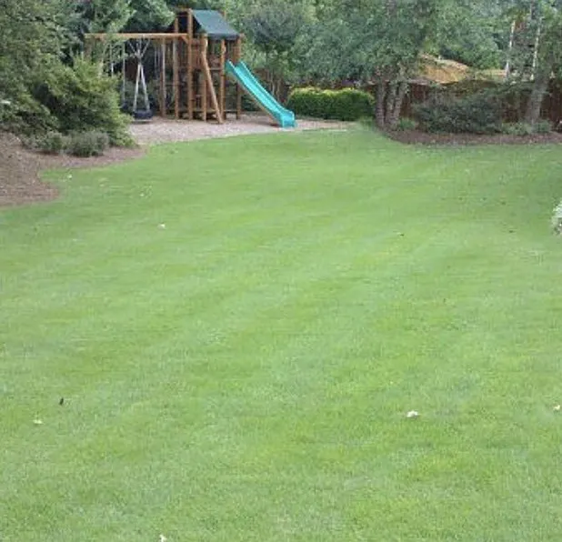 Trusted residential landscaping for outdoor upgrades across Fort Oglethorpe, GA - J & N Lawn Care