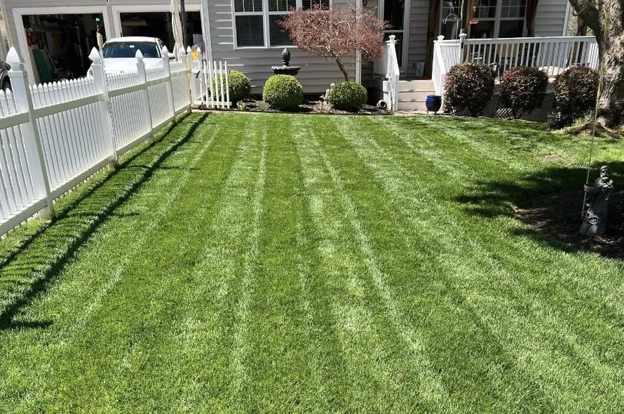 Affordable yard cleanup service experts serving Fort Oglethorpe, GA - J & N Lawn Care