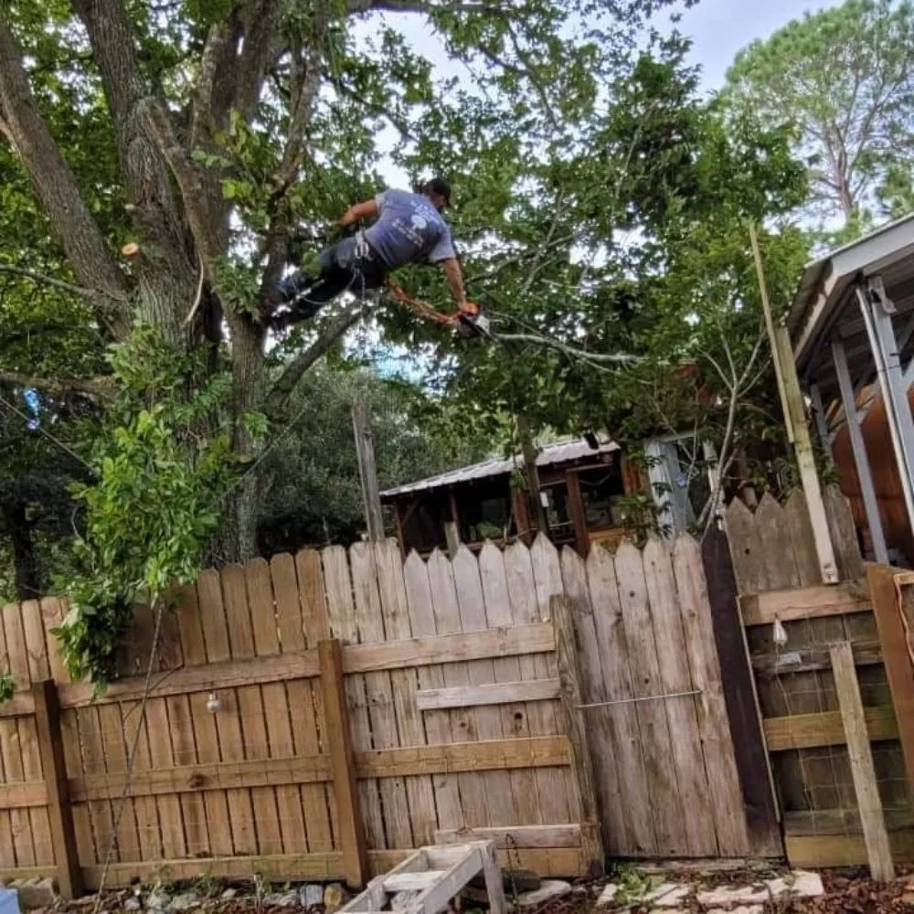 Local residential landscaping in Alvin, TX by J & N Tree And Lawn