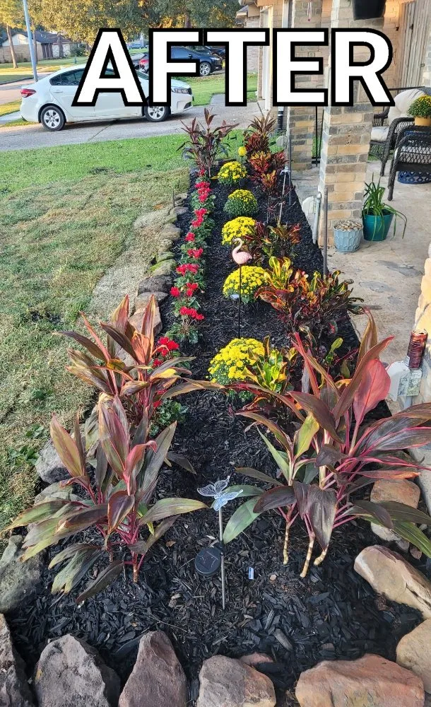 Reliable outdoor landscaping in Alvin, TX by J & N Tree And Lawn