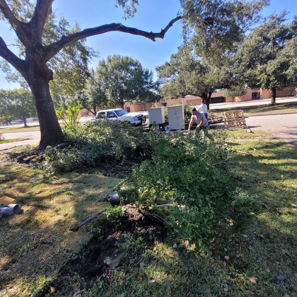 Reliable residential landscaping experts serving Alvin, TX - J & N Tree And Lawn