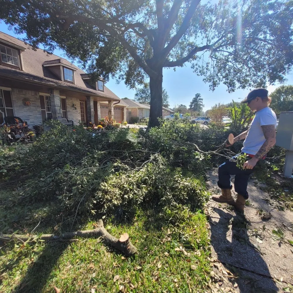 Professional garden landscaping for residential properties in Alvin, TX by J & N Tree And Lawn
