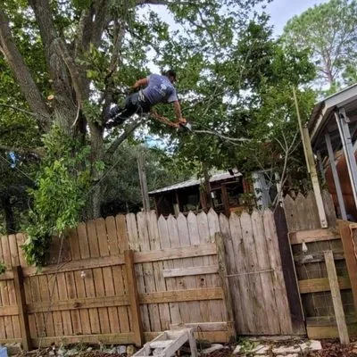 J & N Tree And Lawn Logo