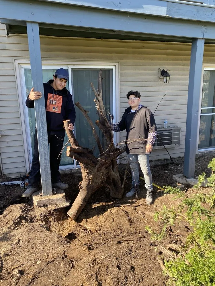 Affordable yard cleanup service experts serving Elgin, IL - J & O Contractors