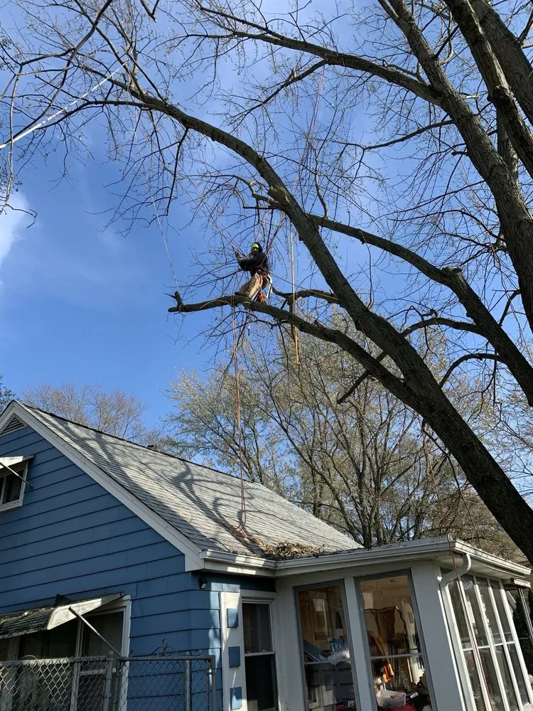 Local yard cleanup service with custom design across Elgin, IL - J & O Contractors