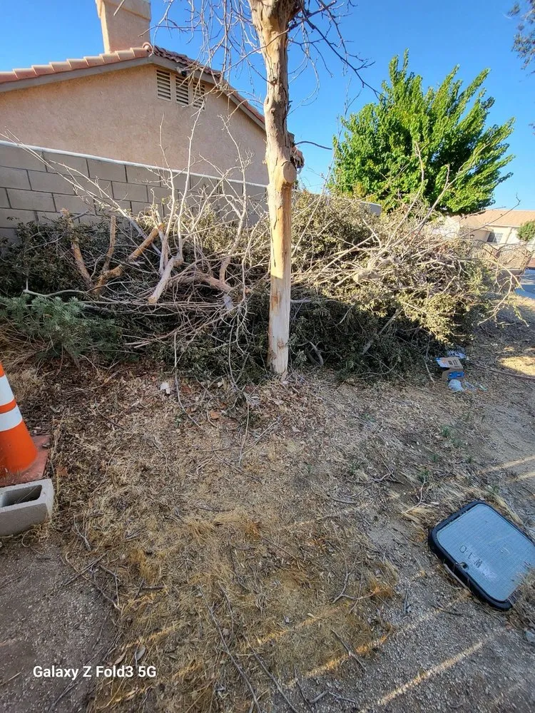 Custom landscape design in Lancaster, CA by J & O Landscape