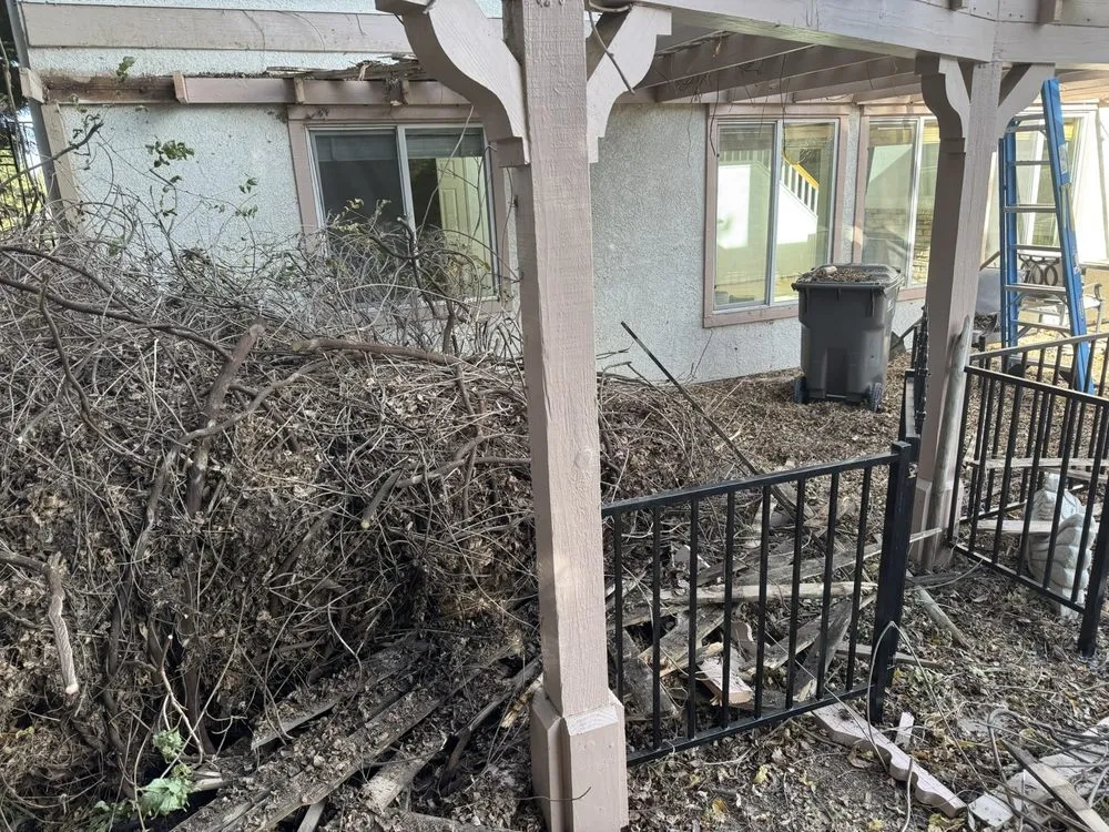 Professional yard cleanup service with custom design across Lancaster, CA - J & O Landscape