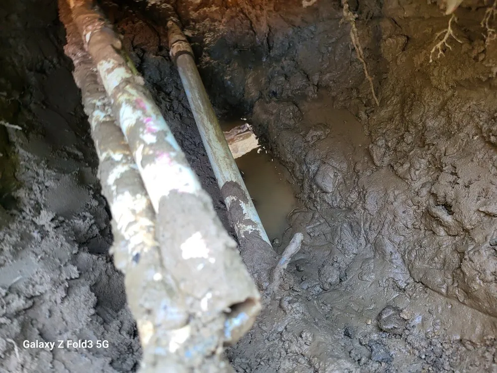 Top-rated yard cleanup service in Lancaster, CA by J & O Landscape