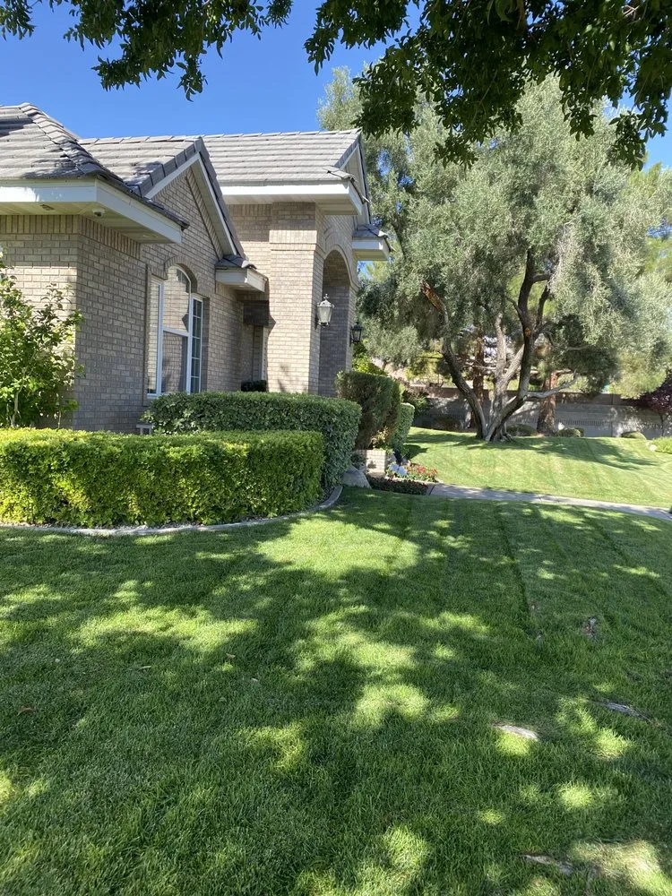 Trusted lawn care service in Las Vegas, NV - J & P Landscape
