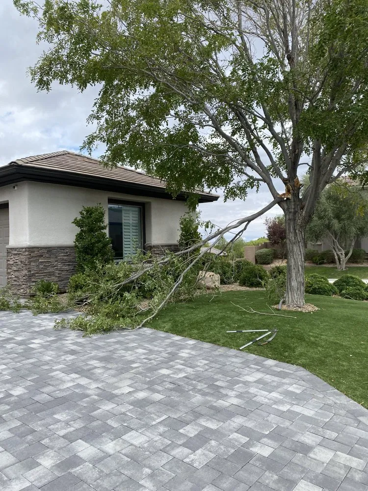 Expert outdoor landscaping for residential properties across Las Vegas, NV - J & P Landscape