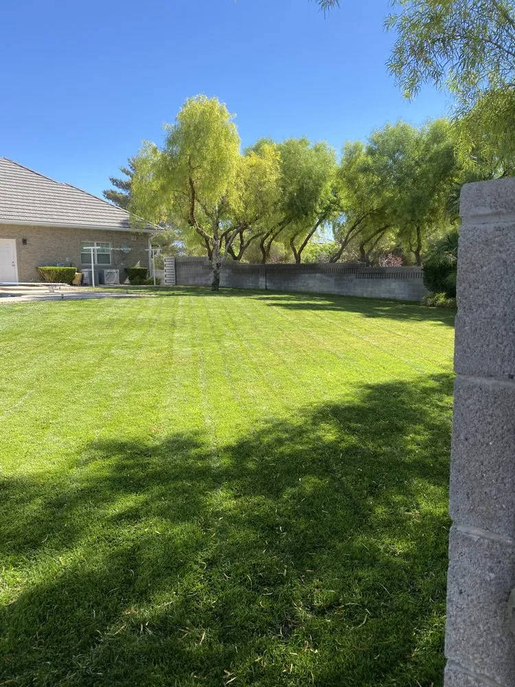 Affordable yard cleanup service in Las Vegas, NV by J & P Landscape