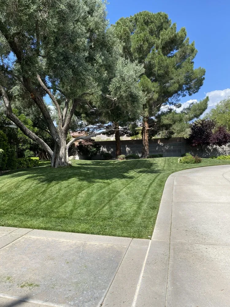 Trusted landscape design for beautiful yards across Las Vegas, NV - J & P Landscape