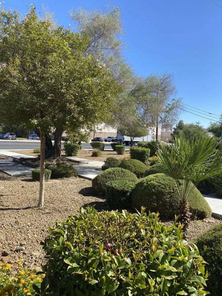 Professional garden landscaping in Las Vegas, NV by J & P Landscape