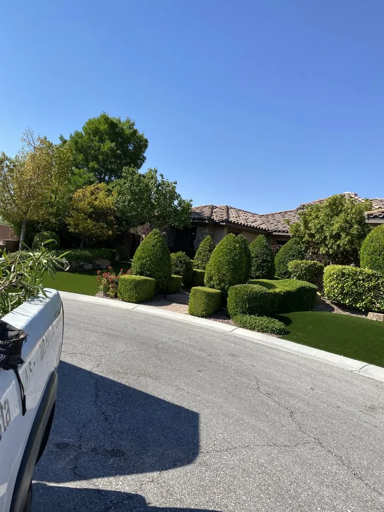 Reliable landscape design experts serving Las Vegas, NV - J & P Landscape