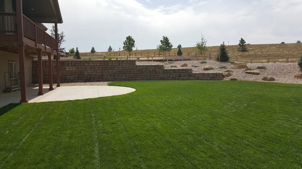 Custom yard cleanup service in Berthoud, CO by J & P Landscaping