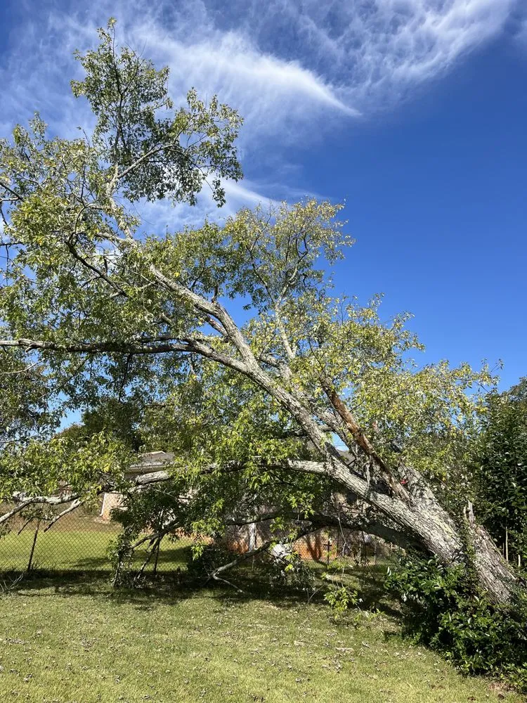 Expert landscaping services in Fayetteville, GA by J & R Enterprises