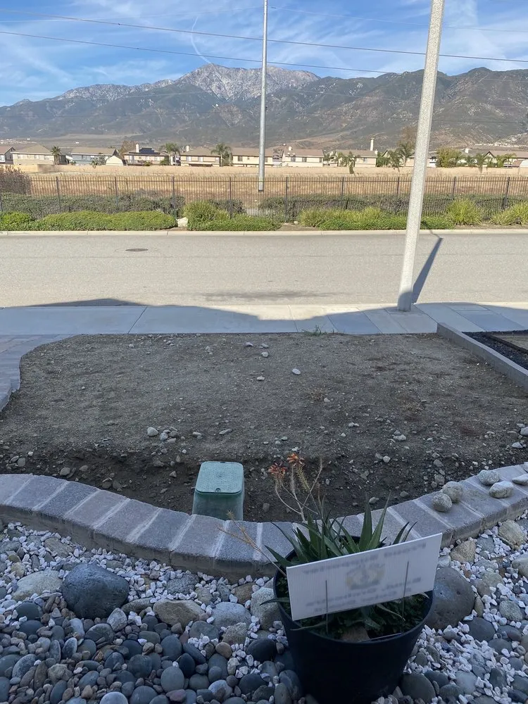 Local yard maintenance for homes in Riverside, CA by J & R Landscape