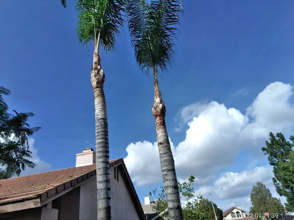 Trusted yard maintenance in Riverside, CA by J & R Landscape