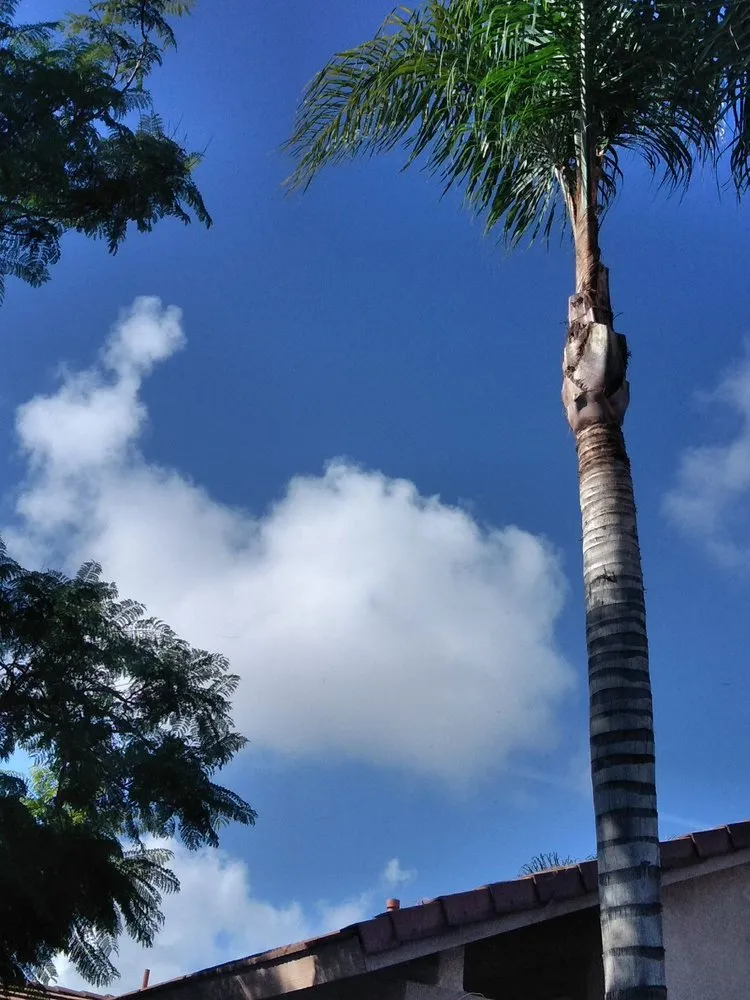 Top-rated outdoor landscaping in Riverside, CA - J & R Landscape