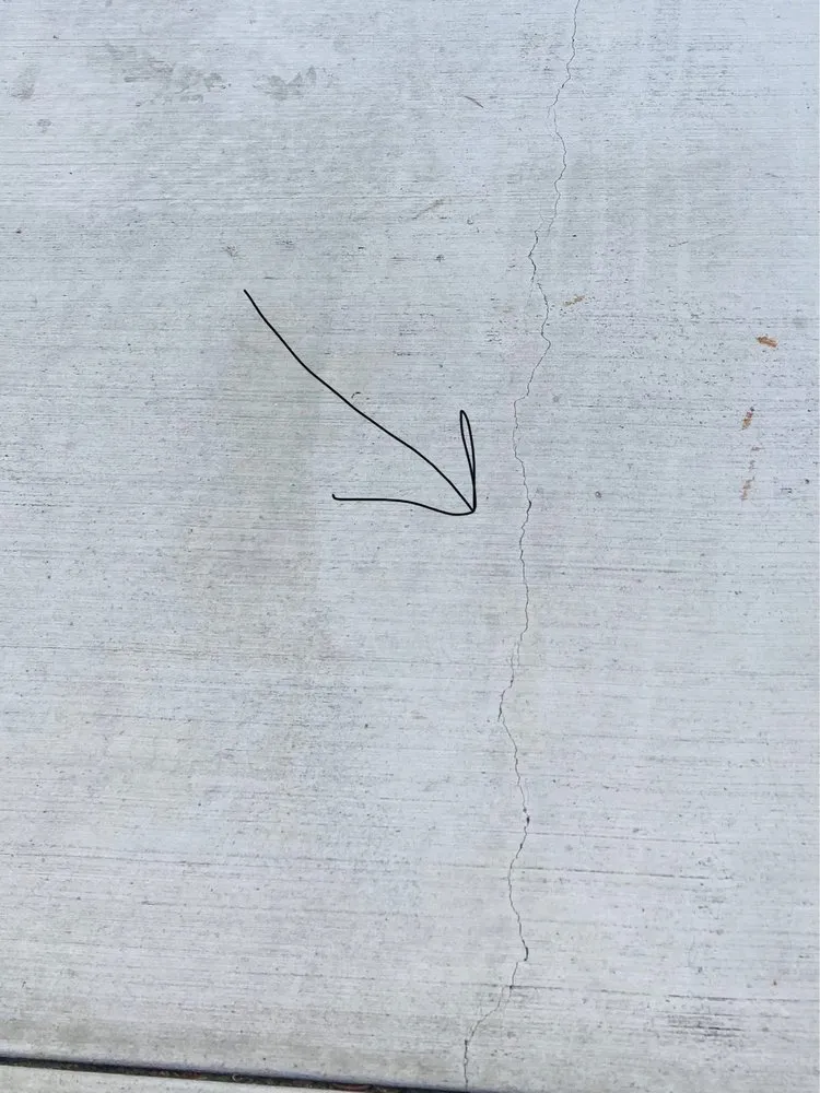 Custom yard cleanup service for beautiful yards across Riverside, CA - J & R Landscape