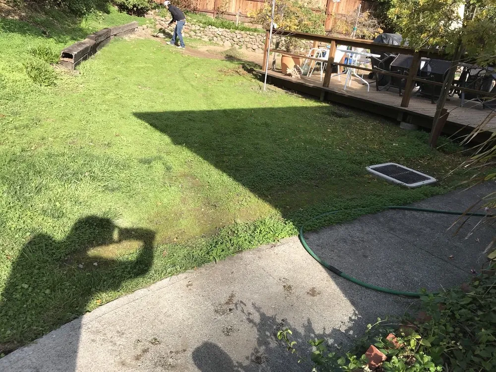 Trusted lawn care service experts serving San Rafael, CA - J & R Landscaping and Construction