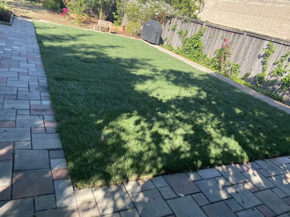 Expert landscape installation in San Rafael, CA by J & R Landscaping and Construction