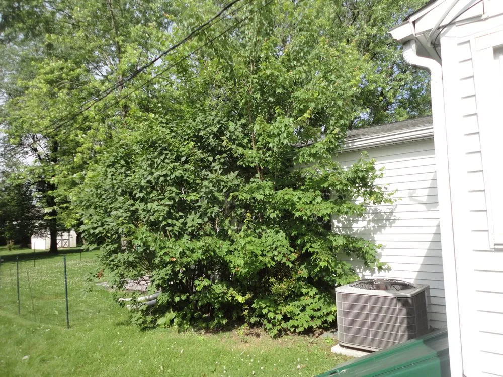 Expert residential landscaping experts serving Horsham, PA - J & R Landscaping