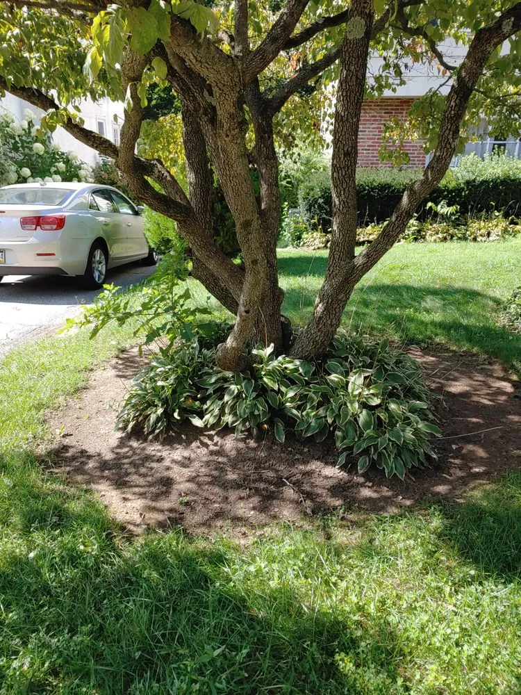 Top-rated yard maintenance for homes across Horsham, PA - J & R Landscaping