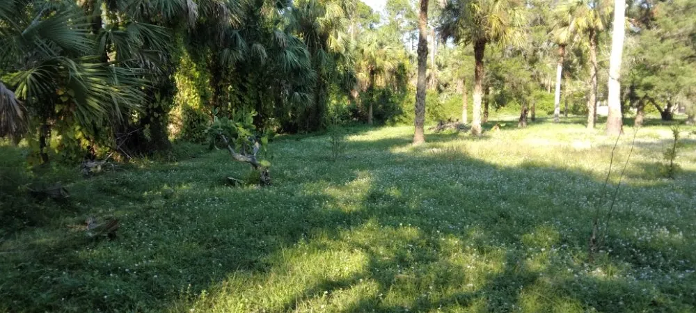 Affordable landscape installation experts serving Cape Coral, FL - J & R Lawn Care Specialists