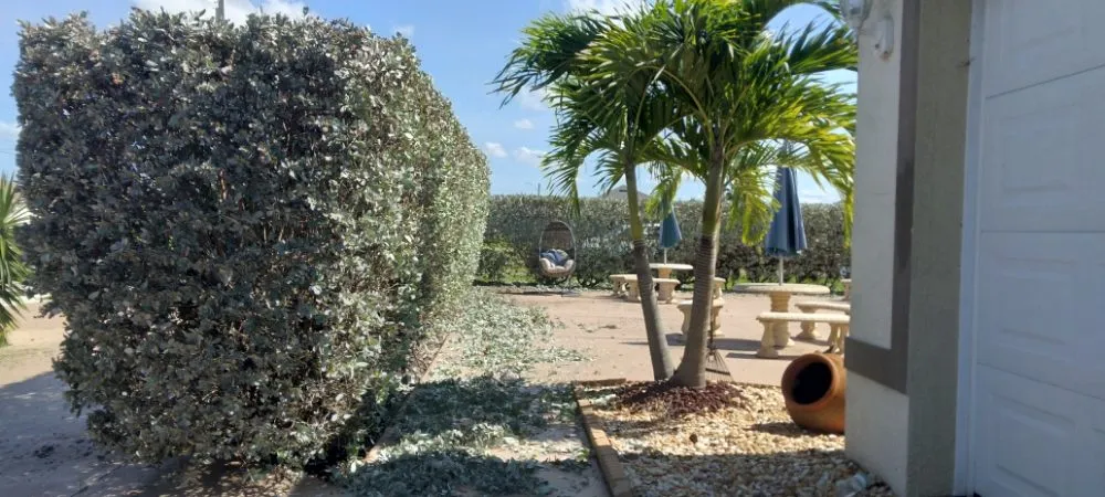 Custom landscape design in Cape Coral, FL by J & R Lawn Care Specialists