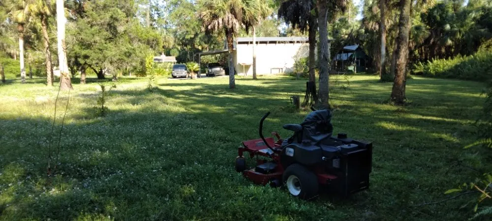 Expert yard cleanup service for beautiful yards in Cape Coral, FL by J & R Lawn Care Specialists