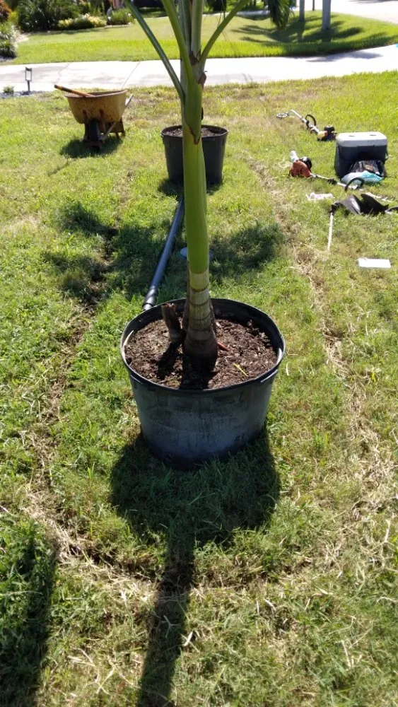 Expert lawn mowing service for beautiful yards across Cape Coral, FL - J & R Lawn Care Specialists