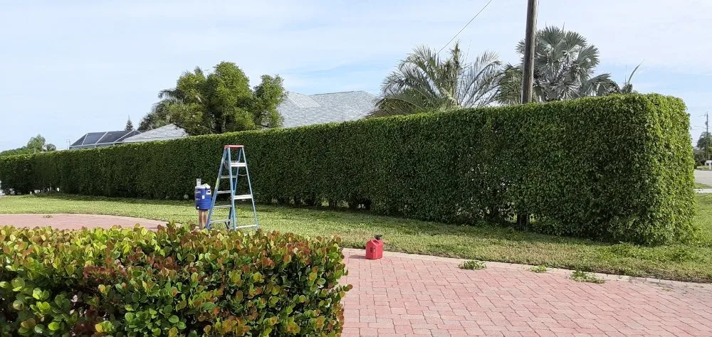 Top-rated residential landscaping in Cape Coral, FL - J & R Lawn Care Specialists