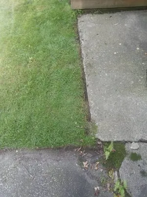 J & R Lawn Care Logo