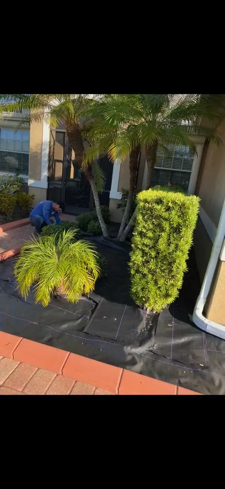 Reliable landscaping services with custom design across North Port, FL - J & R Lawns