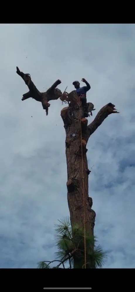 Affordable landscape design experts serving North Port, FL - J & R Lawns