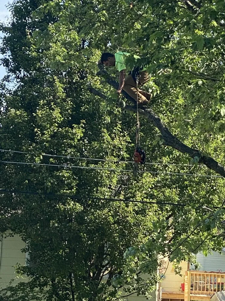 Reliable residential landscaping with custom design in Bonne Terre, MO by J & R Outdoor Services