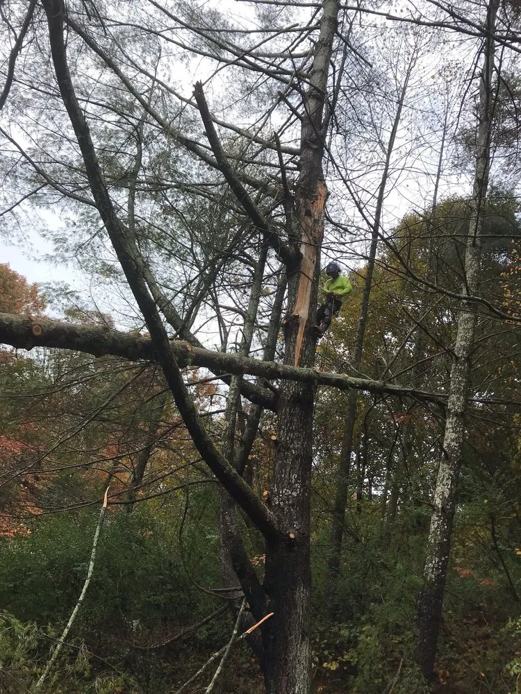 Top-rated garden landscaping in Bonne Terre, MO by J & R Outdoor Services