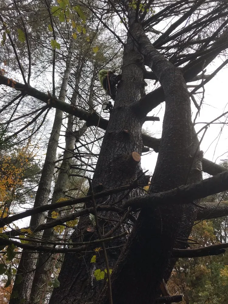 Top-rated landscape design for outdoor upgrades in Bonne Terre, MO by J & R Outdoor Services